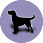 dog breeds android application logo